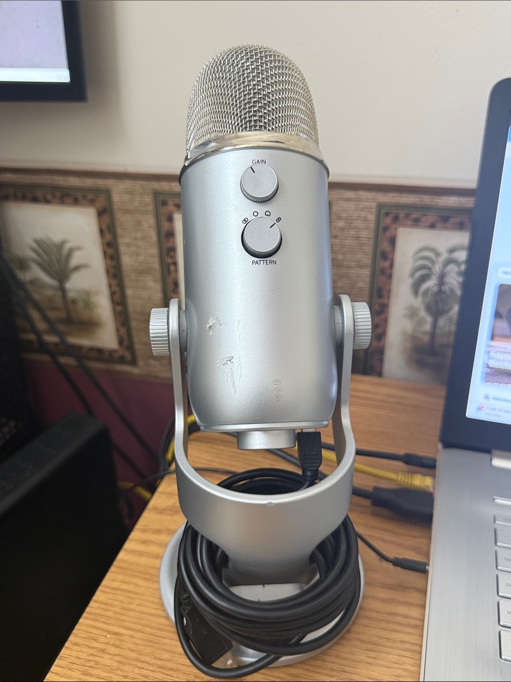 Yeti-Style USB Condenser Microphone - Silver